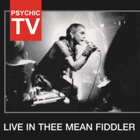 Live In Thee Mean Fiddler