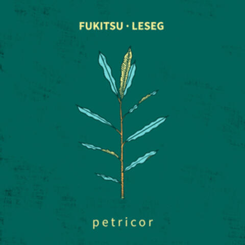 Petricor