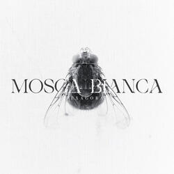 Mosca Bianca