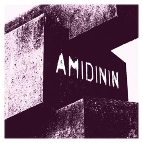 Amidinin