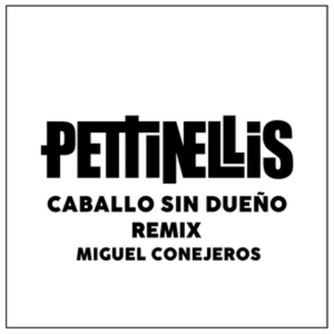 Caballo sin Dueño