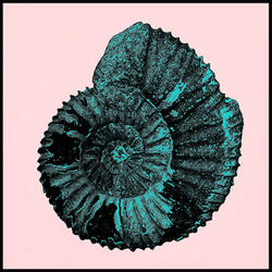 Esta Puede Ser Una Canción