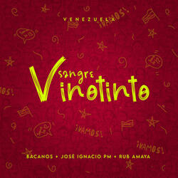 Sangre Vinotinto
