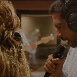 Cara De Chewbacca