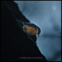Forbidden Dance