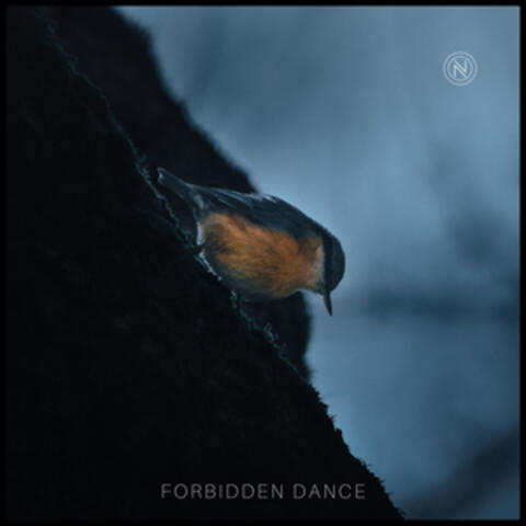 Forbidden Dance