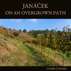 On an Overgrown Path, Ist Series: No. 1, Our Evenings