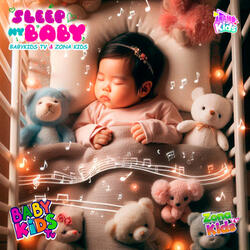 Sleep My Baby