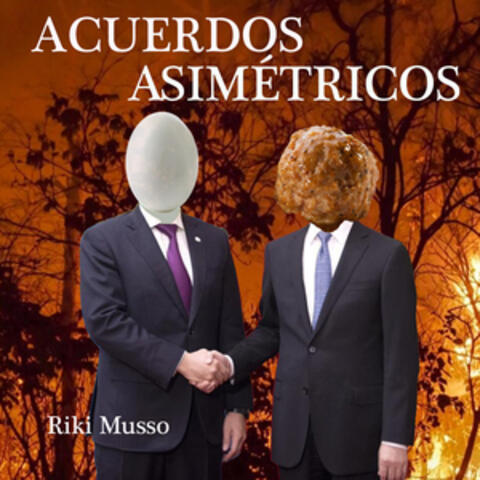 Acuerdos asimétricos