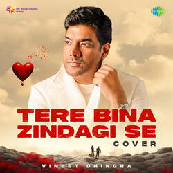 Tere Bina Zindagi Se