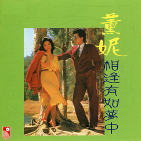 相逢有如夢中