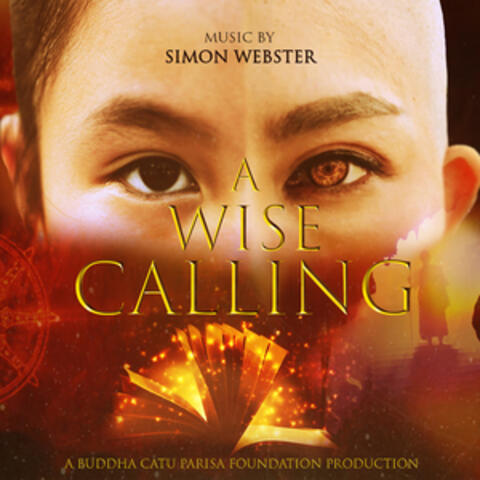 Why So Much Suffering? (From 'A Wise Calling')