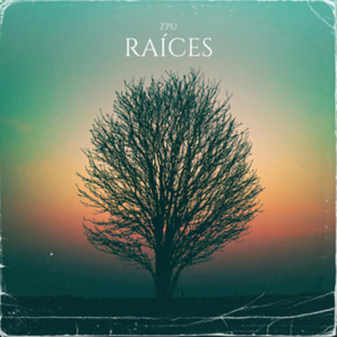 Raíces