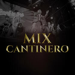Mix Cantinero: Cantinero / Mi Vicio Mortal / Sin Ti My Love / Triste Payaso