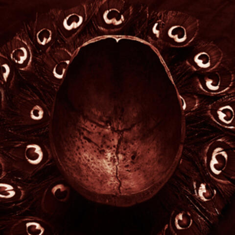 Voidwards
