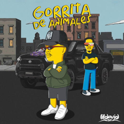 Gorrita de Animales