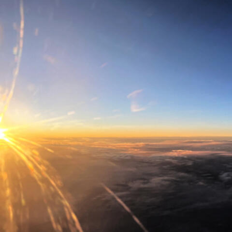 Daylight