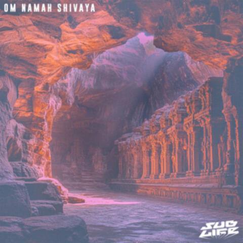 OM NAMA SHIVAYA