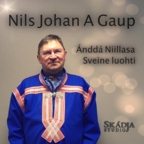 Ánddá Niillasa Sveine luohti