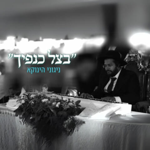 בצל כנפיך