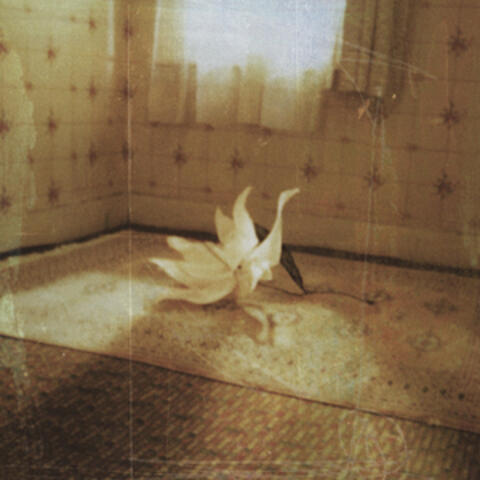 Siren
