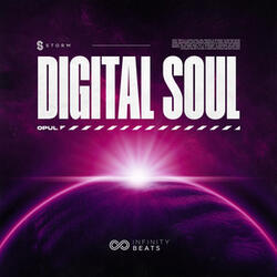 Digital Soul
