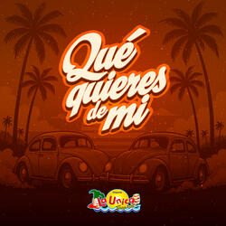 Qué quieres de mí