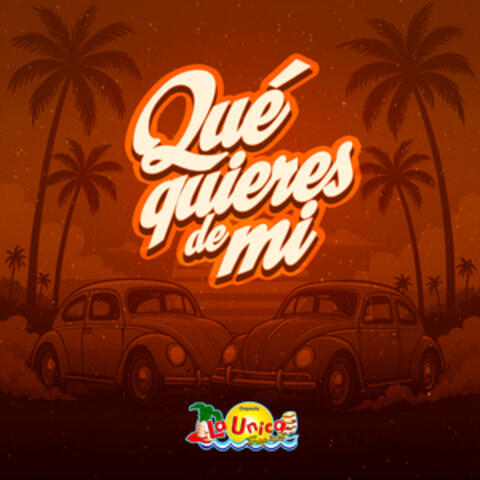 Qué Quieres de Mí