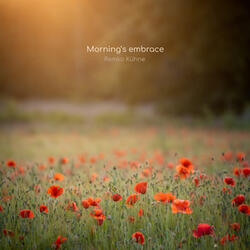 Morning's embrace