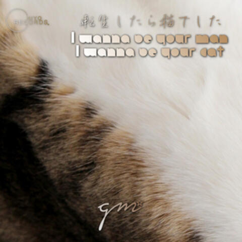 I wanna be your man (I wanna be your cat)