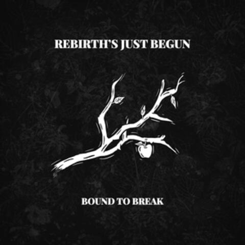 Rebith's Just Begun