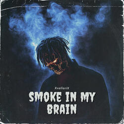 smoke in my brain