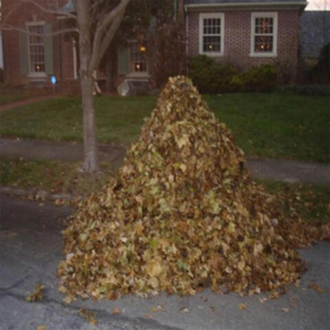 i know you more than yourself