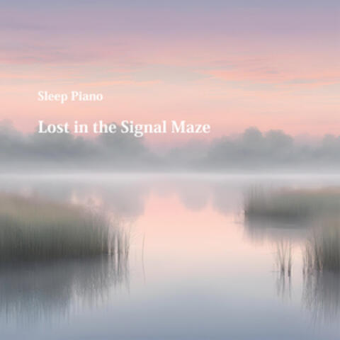 Lost in the Signal Maze