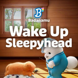 Wake Up Sleepyhead