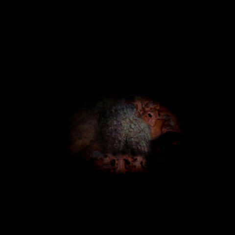 Hex