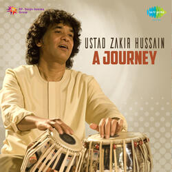 Drut Teentaal - Ustad Zakir Hussain