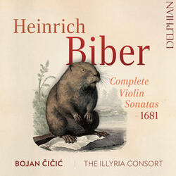 Sonatæ Violono solo "1681": Sonata No. 5 in E Minor, C. 142: IV. Aria