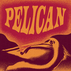 Pelican
