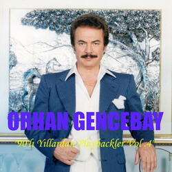 İpek Böceği