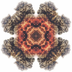 Circles