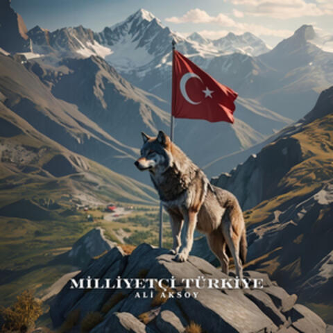Milliyetçi Türkiye