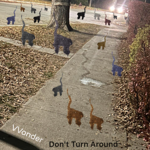 Don't Turn Around