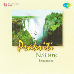 Purvayee - Ronu Majumder & Ulhas Bapat