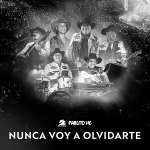Nunca Voy A Olvidarte