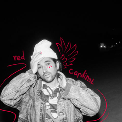 Red Cardinal