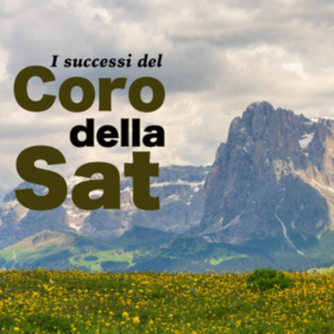 I Successi Del Coro Della Sat