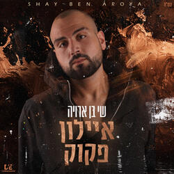 איילון פקוק