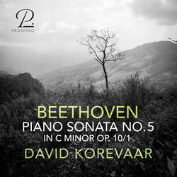Piano Sonata No. 5 in C Minor, Op. 10 No. 1: I. Allegro molto e con brio