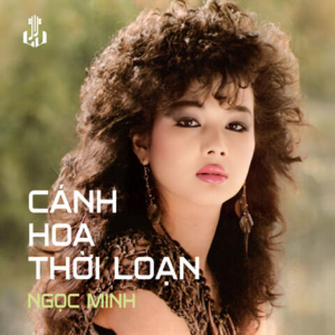 Cánh Hoa Thời Loạn